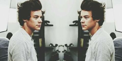 styles banner
