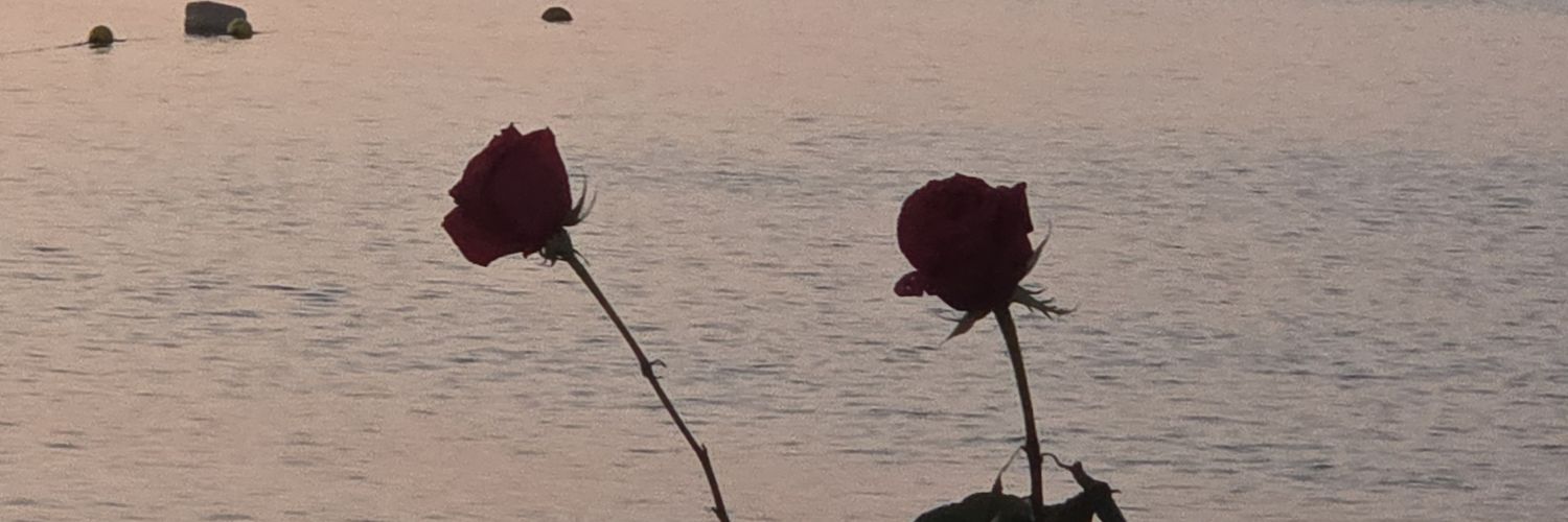 alisondejo's profile banner image