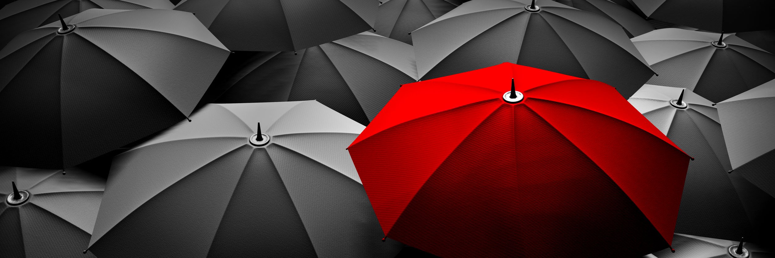 shashank28d's profile banner image
