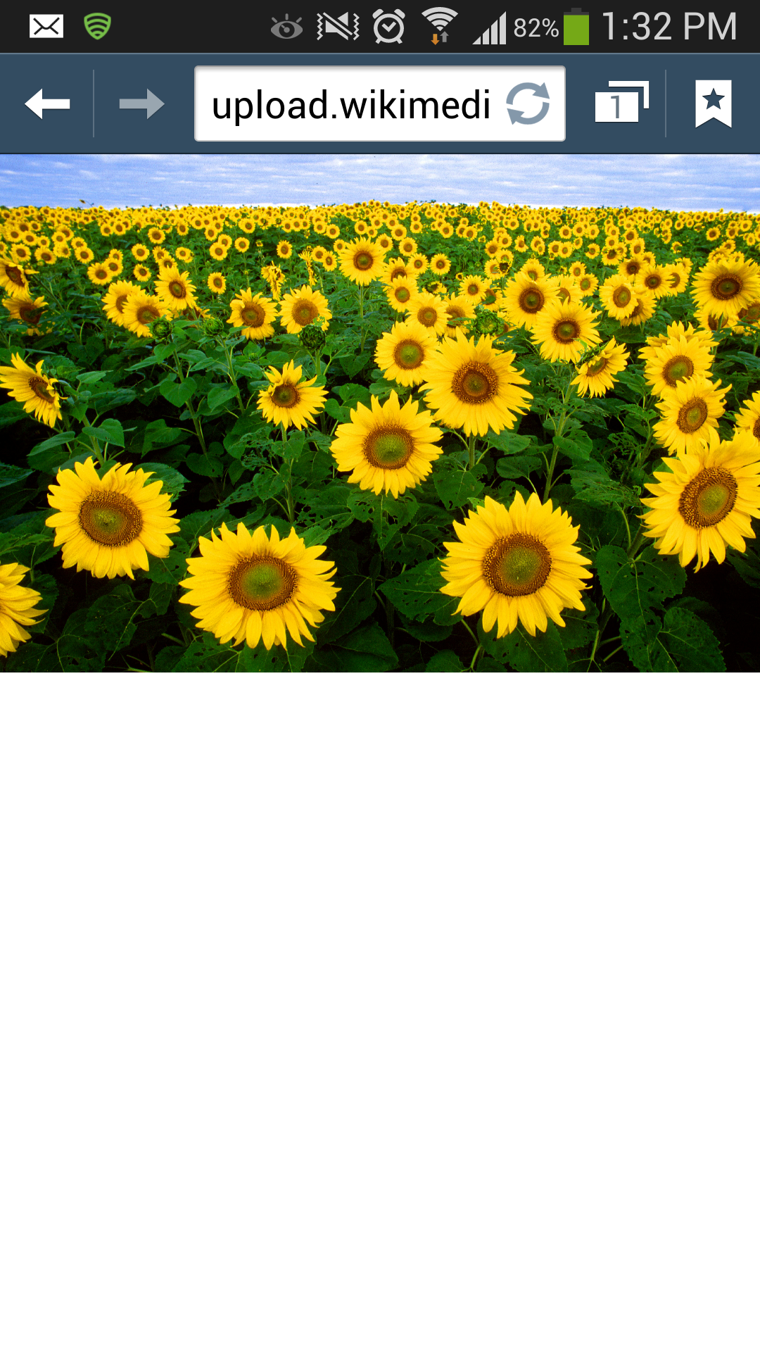 xoxoMEESH's profile banner image