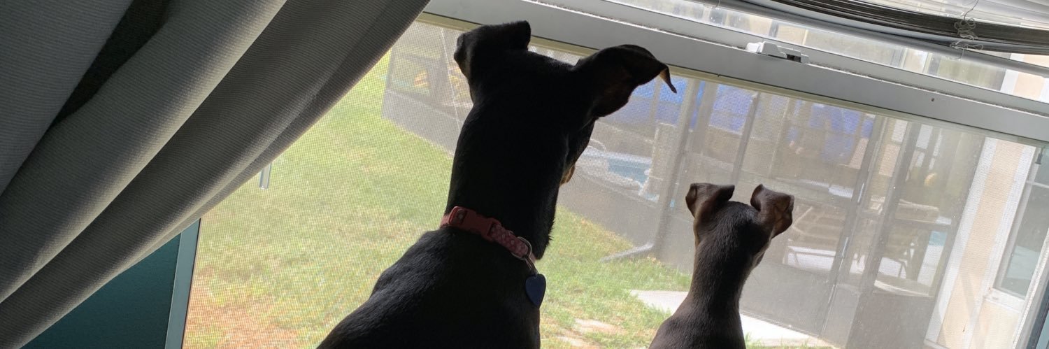 aly_davis2's profile banner image