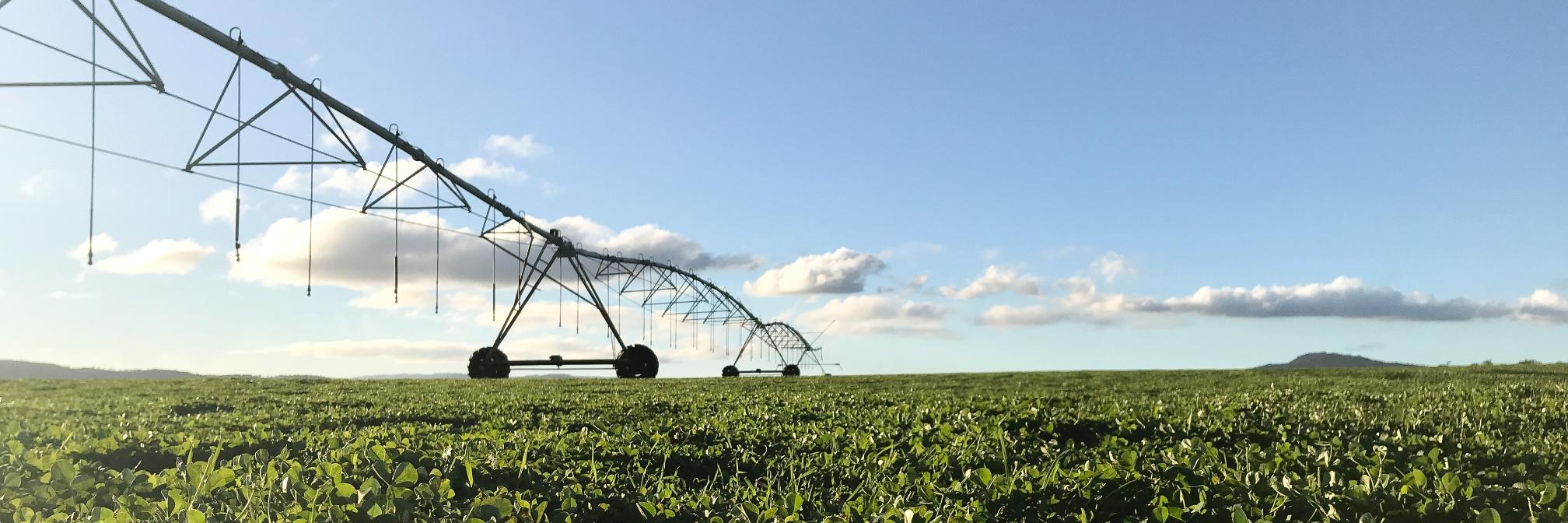 MacFrankly's profile banner image