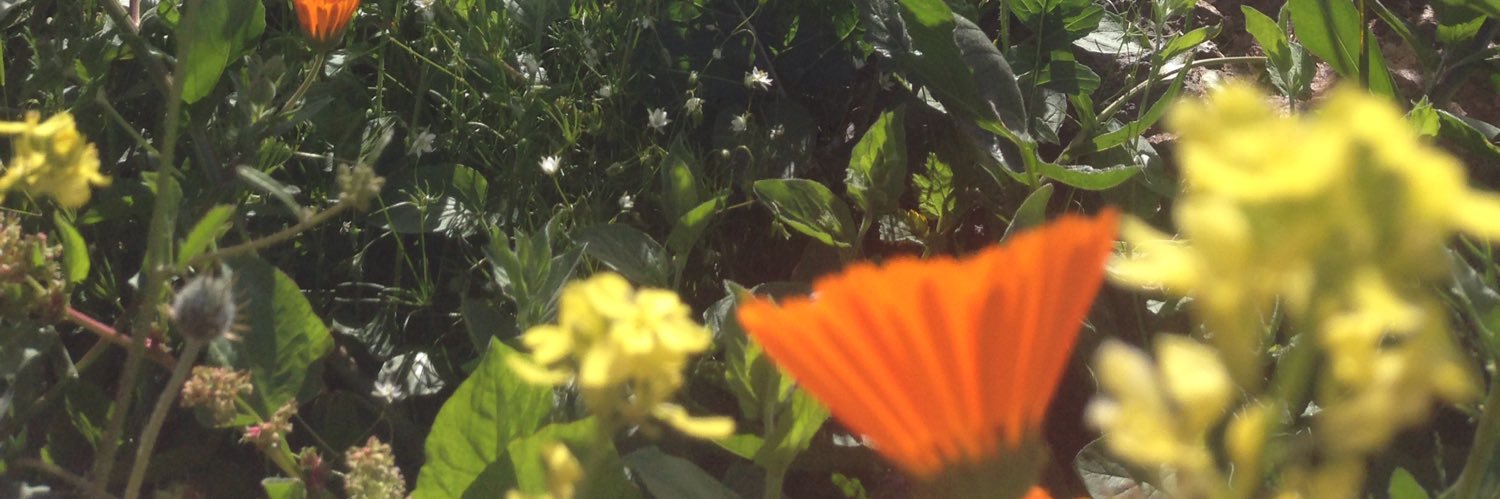 JAgdou's profile banner image