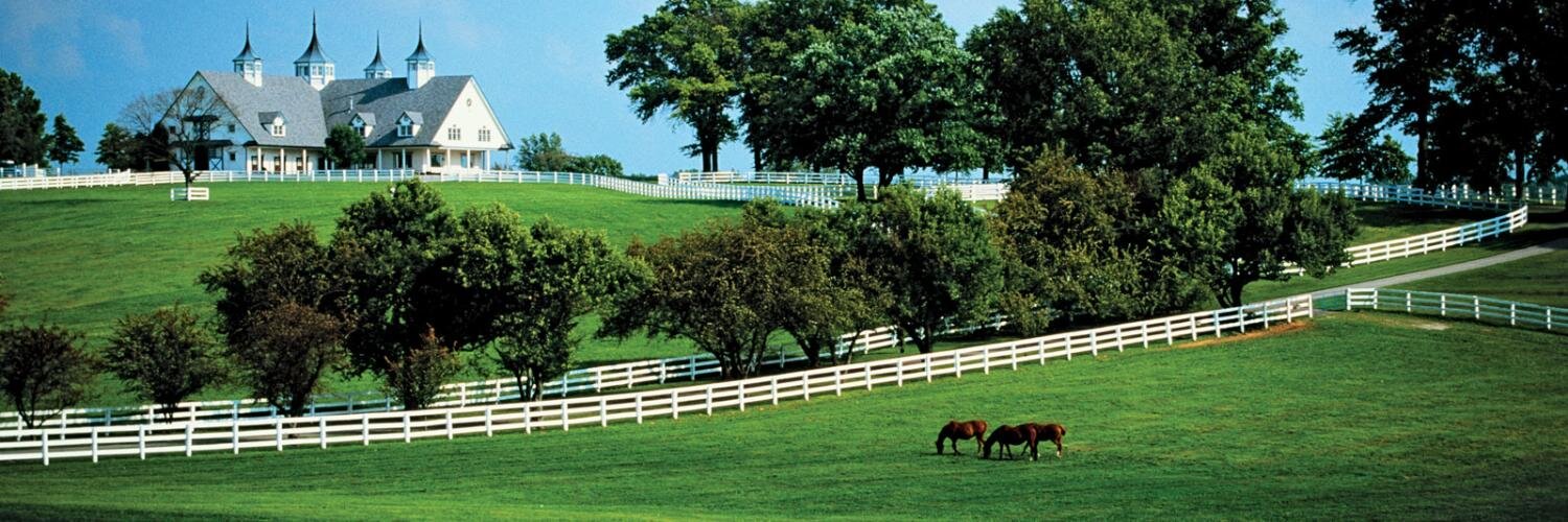 uberhorsey's banner