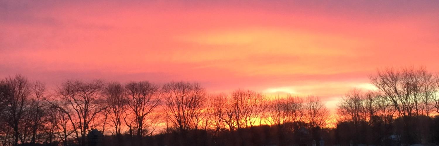 liindsey21's profile banner image