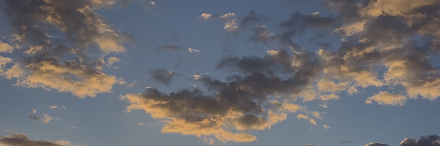 vpprrss's profile banner image