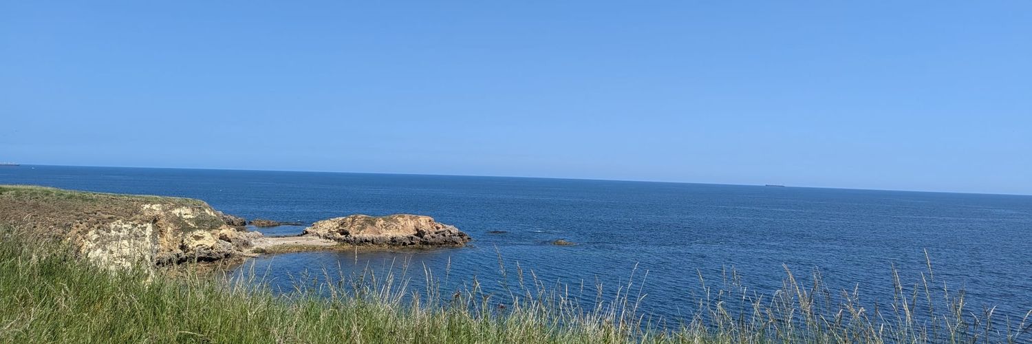 davidxyj's profile banner image