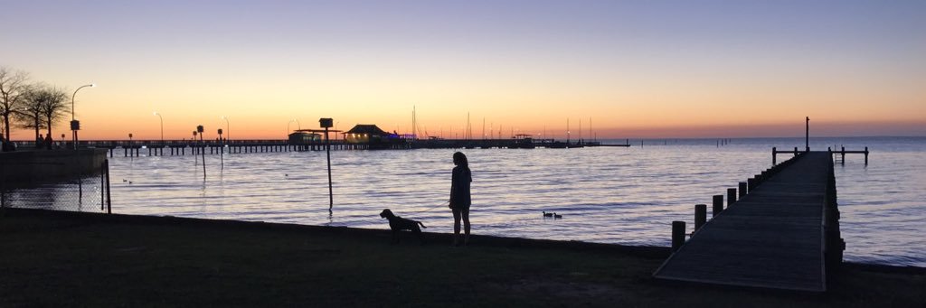 MBlakeDavis's profile banner image