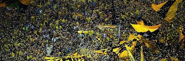 statisticsfooty's profile banner image