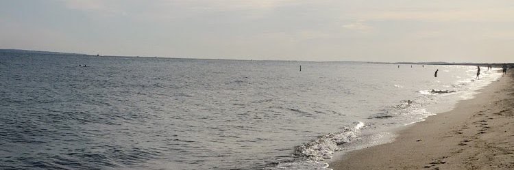 C_Shaffe's profile banner image