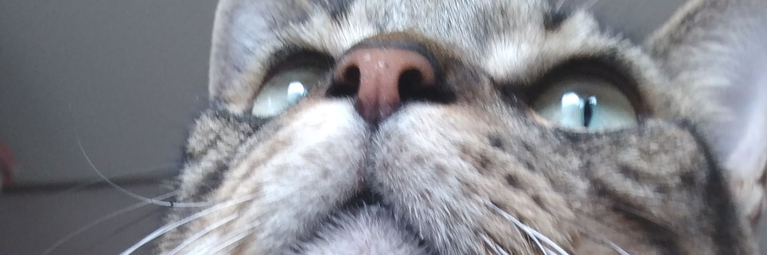 Nathy_US's profile banner image