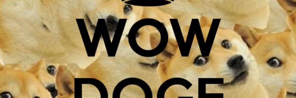 BabyDoge Profile Banner