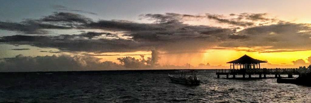 MariDelgado13's profile banner image