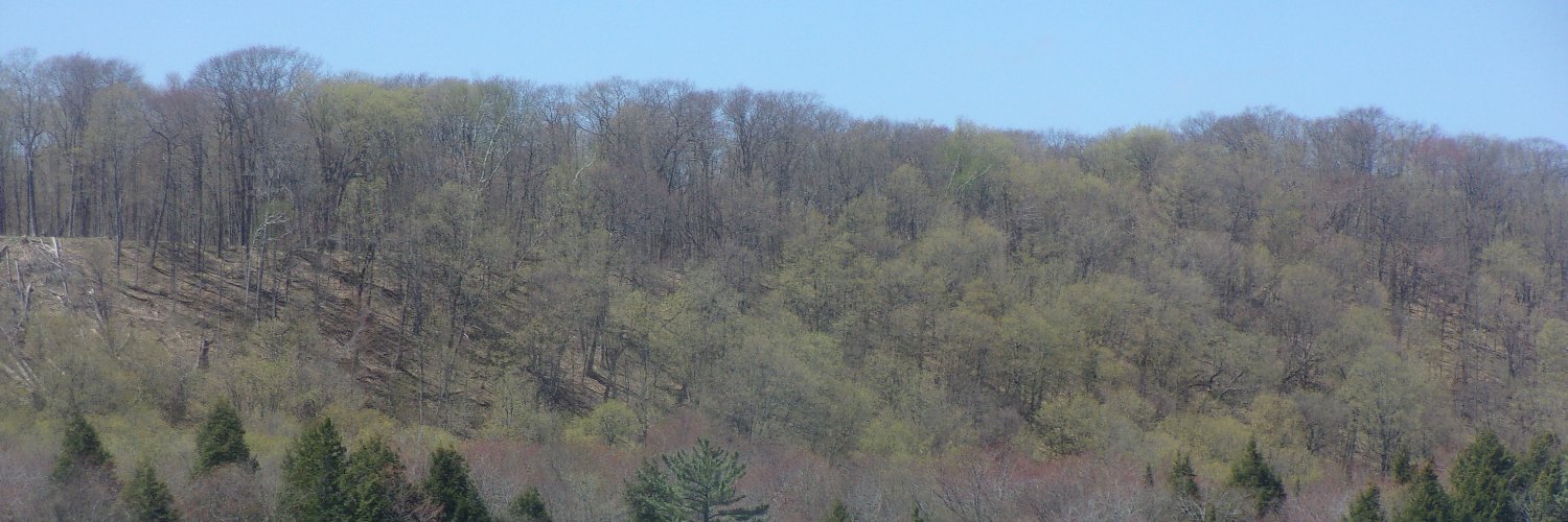 Scott banner