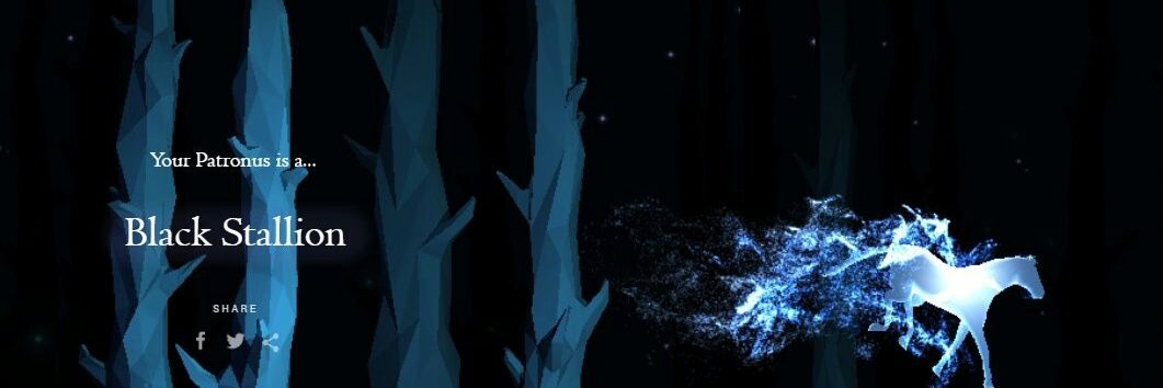 aaronaitor's profile banner image