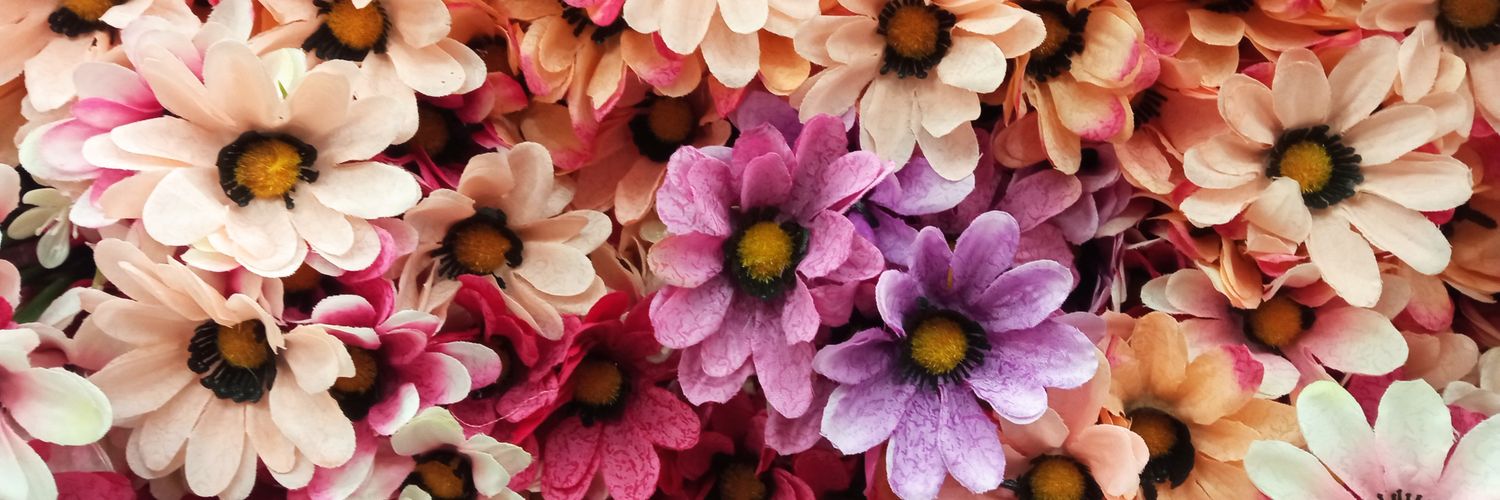 ainsryaa_'s profile banner image