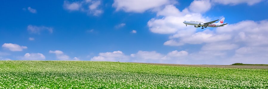 krmtora's profile banner image