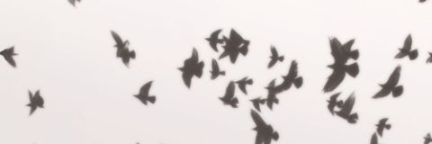 loueehh's profile banner image