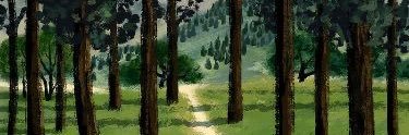 kapisungeri's profile banner image