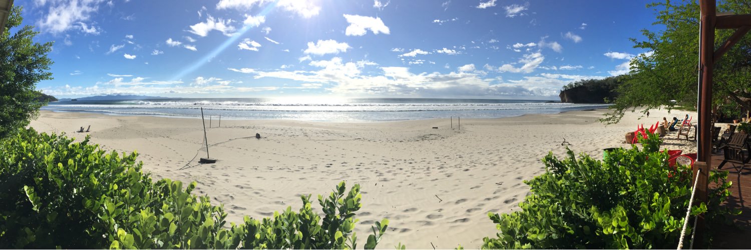 Andrew Tokeley banner