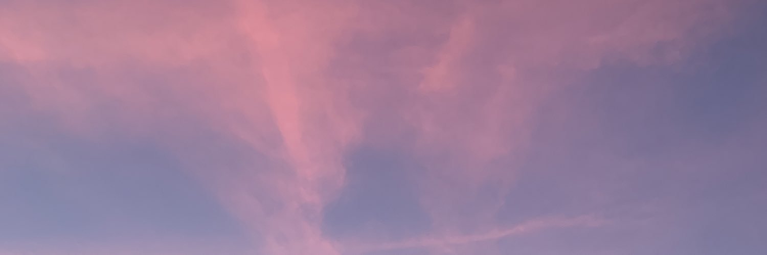 NoraWornhoff's profile banner image