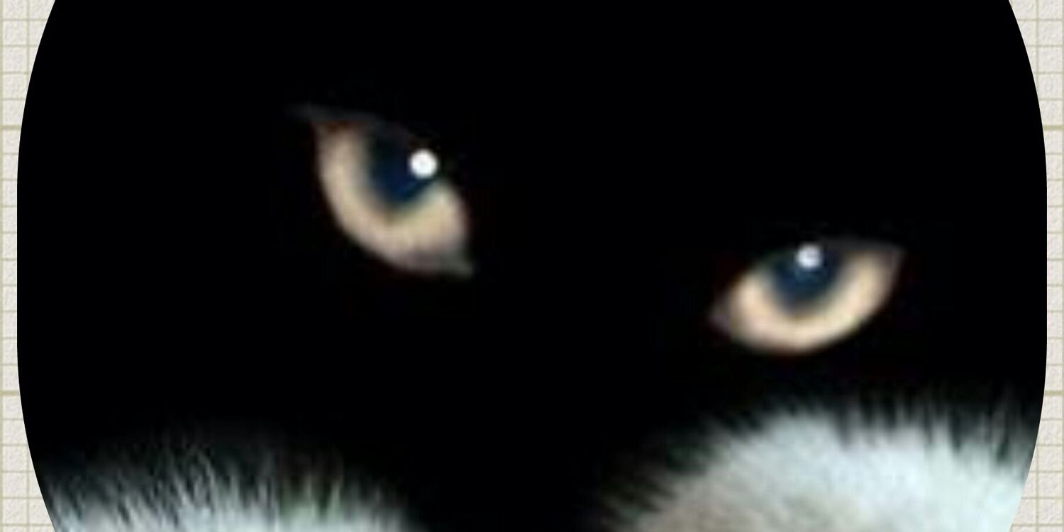heechul222's profile banner image