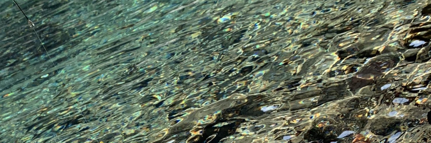 dwarf_h_w's profile banner image