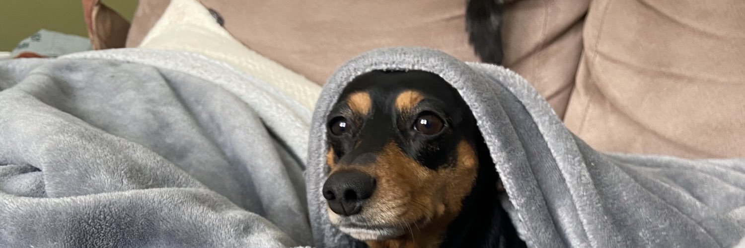 2ndsquid's profile banner image