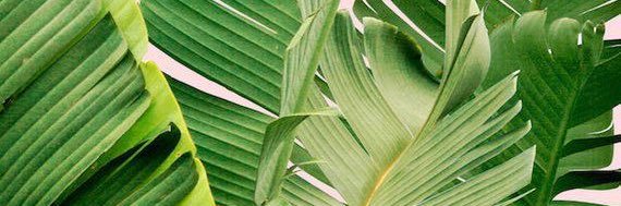 ClaraRondelli's profile banner image