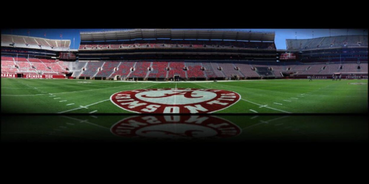 The Real Dill banner