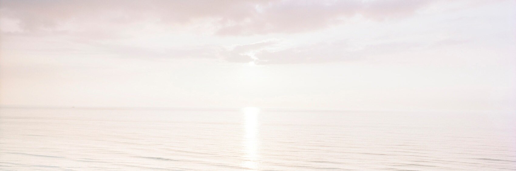 ThymeMFC's profile banner image
