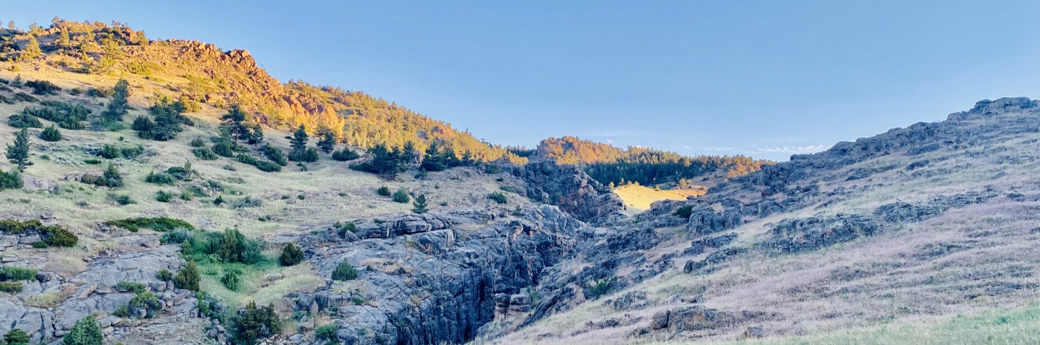 casoncoy11's profile banner image