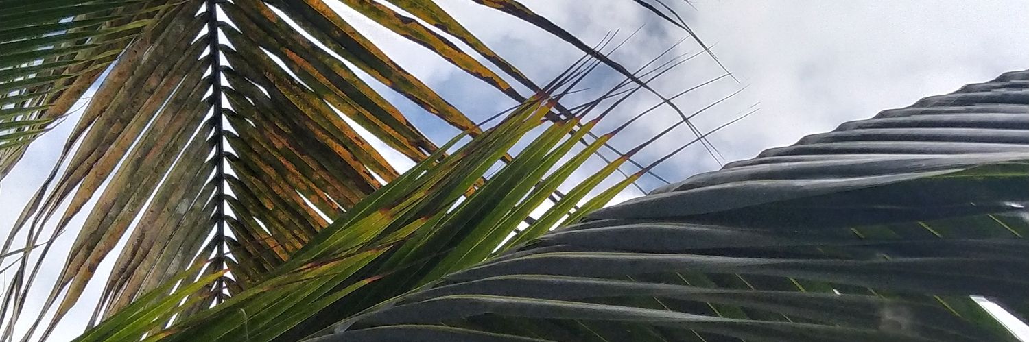 quienesch's profile banner image