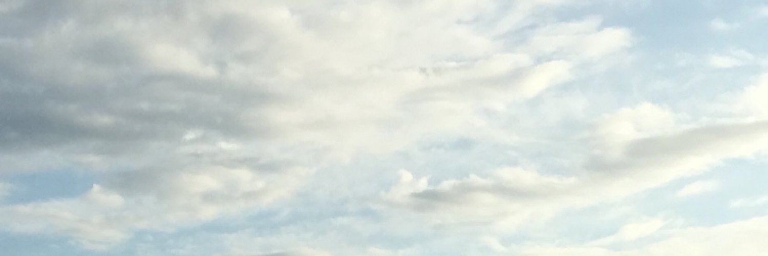 pananiru's profile banner image
