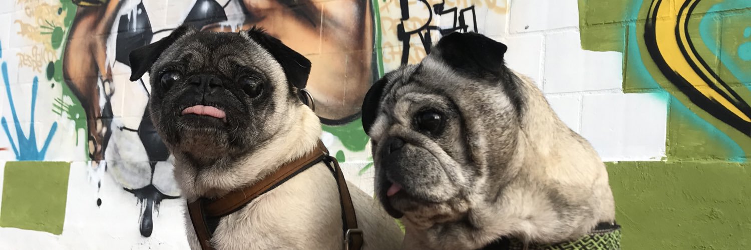 ☠︎ ℤam ☠︎ banner