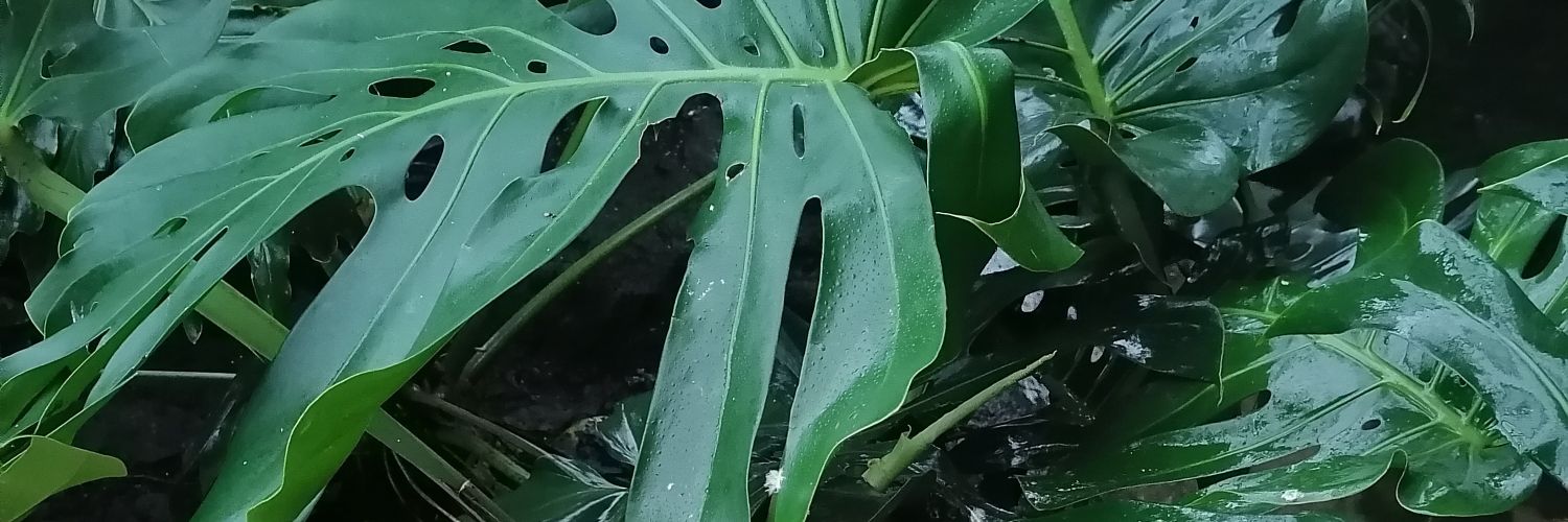 marinetrez's profile banner image