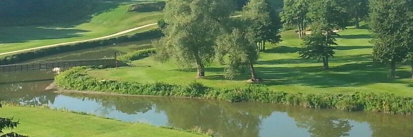 Whistle Happy 🇨🇦 banner