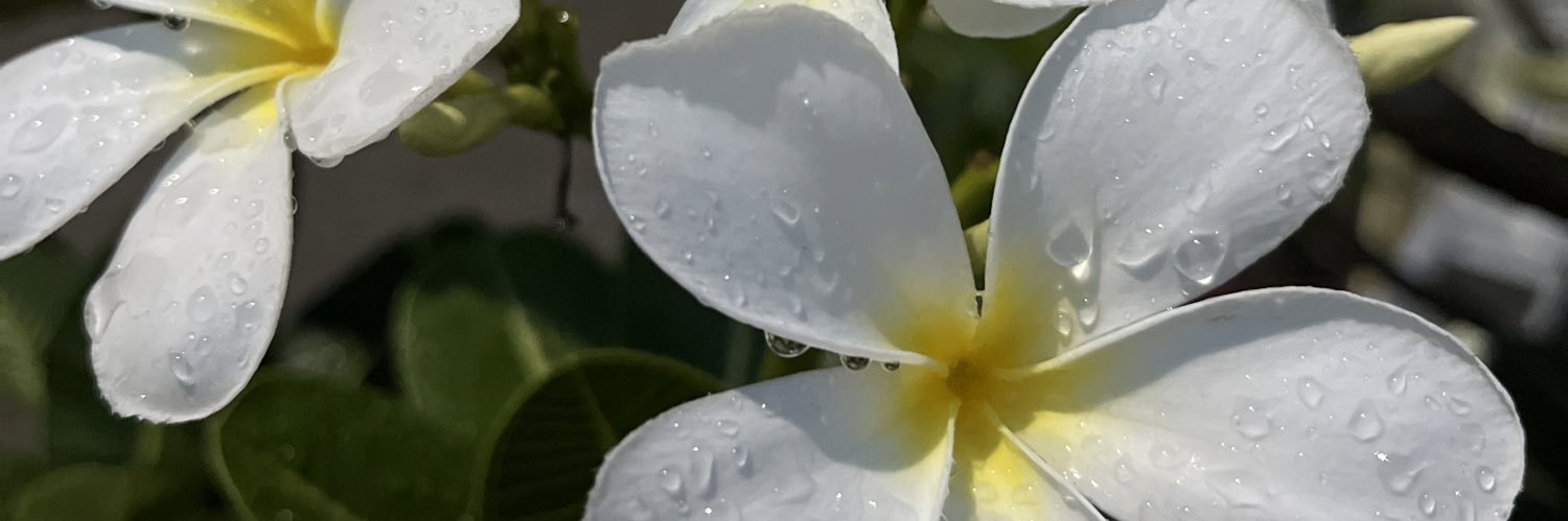 koul_navmi's profile banner image