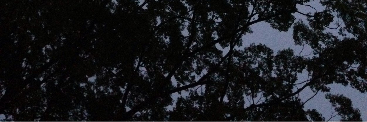 Emoceee's profile banner image