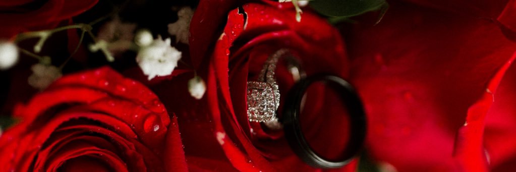 bec_chaves's profile banner image