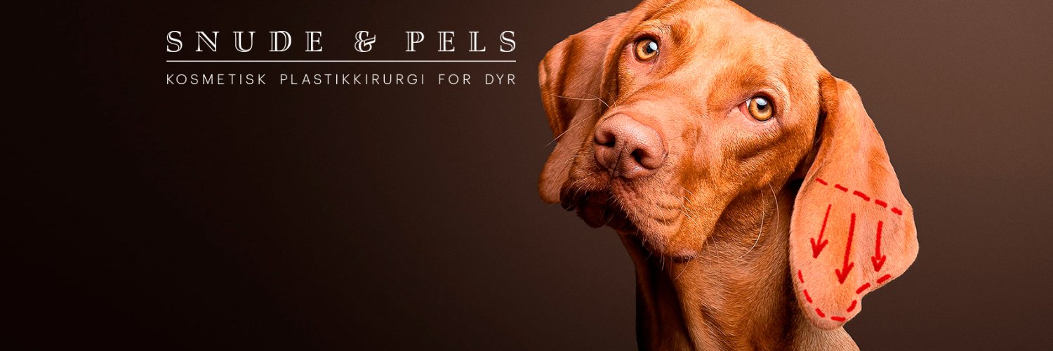 Søren Krogsgaard banner