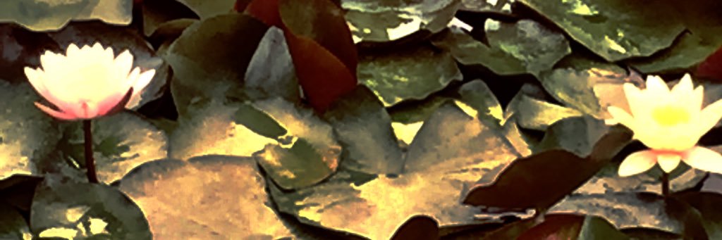 MarianVersteeg's profile banner image