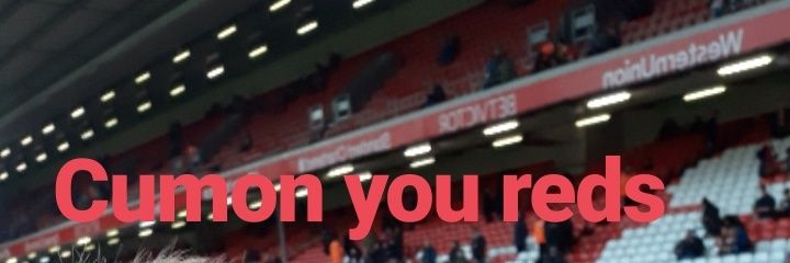 Johnny McMahon banner