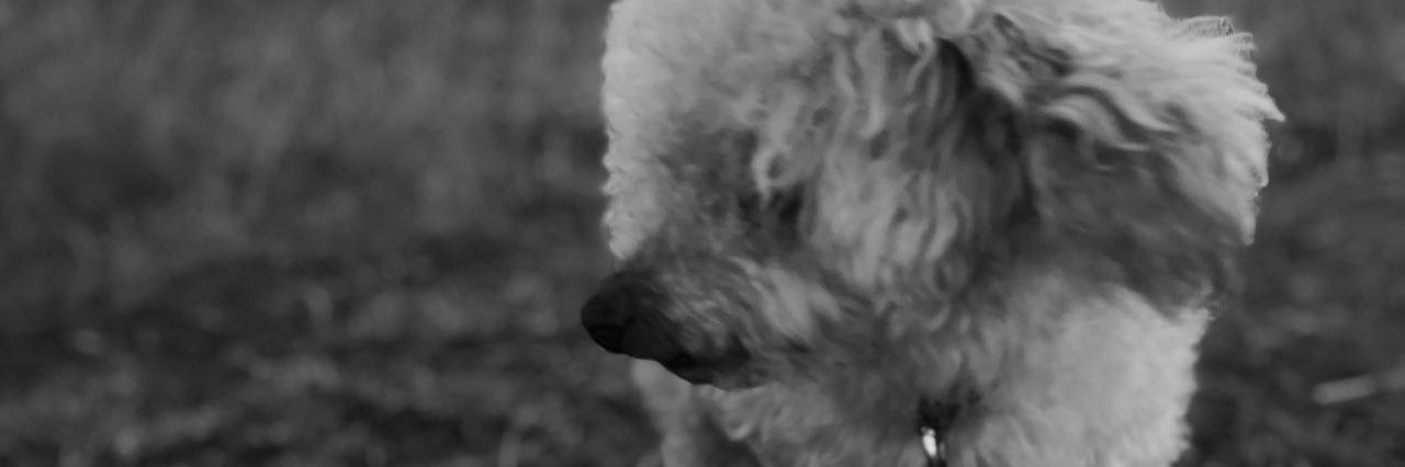 marielo_mat's profile banner image