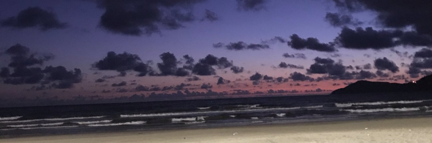 emilyzarbinati's profile banner image