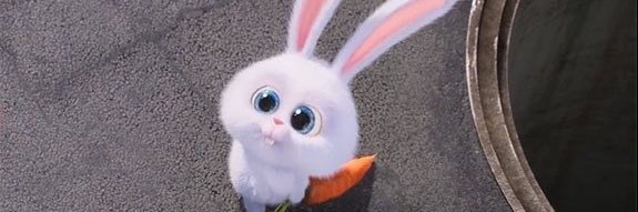 kahaaaazu's profile banner image