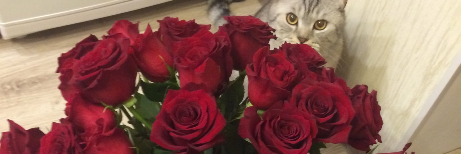Anella_da's profile banner image