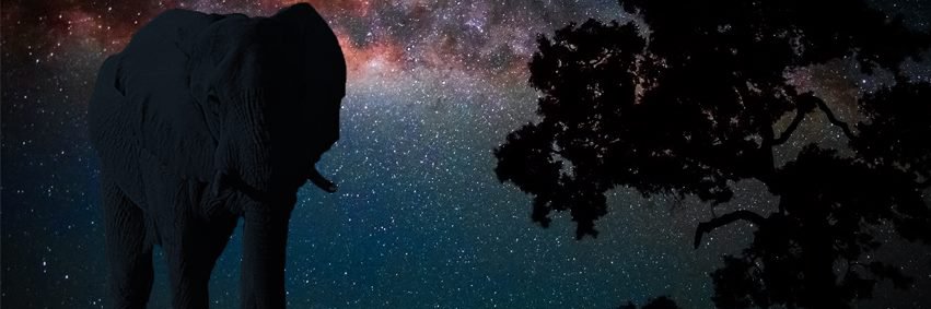 parakhHoon's profile banner image