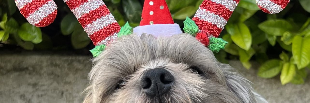 Jamilerr's profile banner image