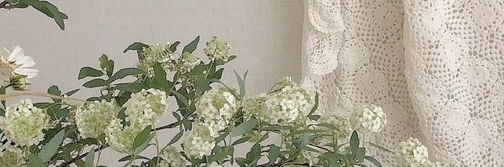 tomeettay's profile banner image